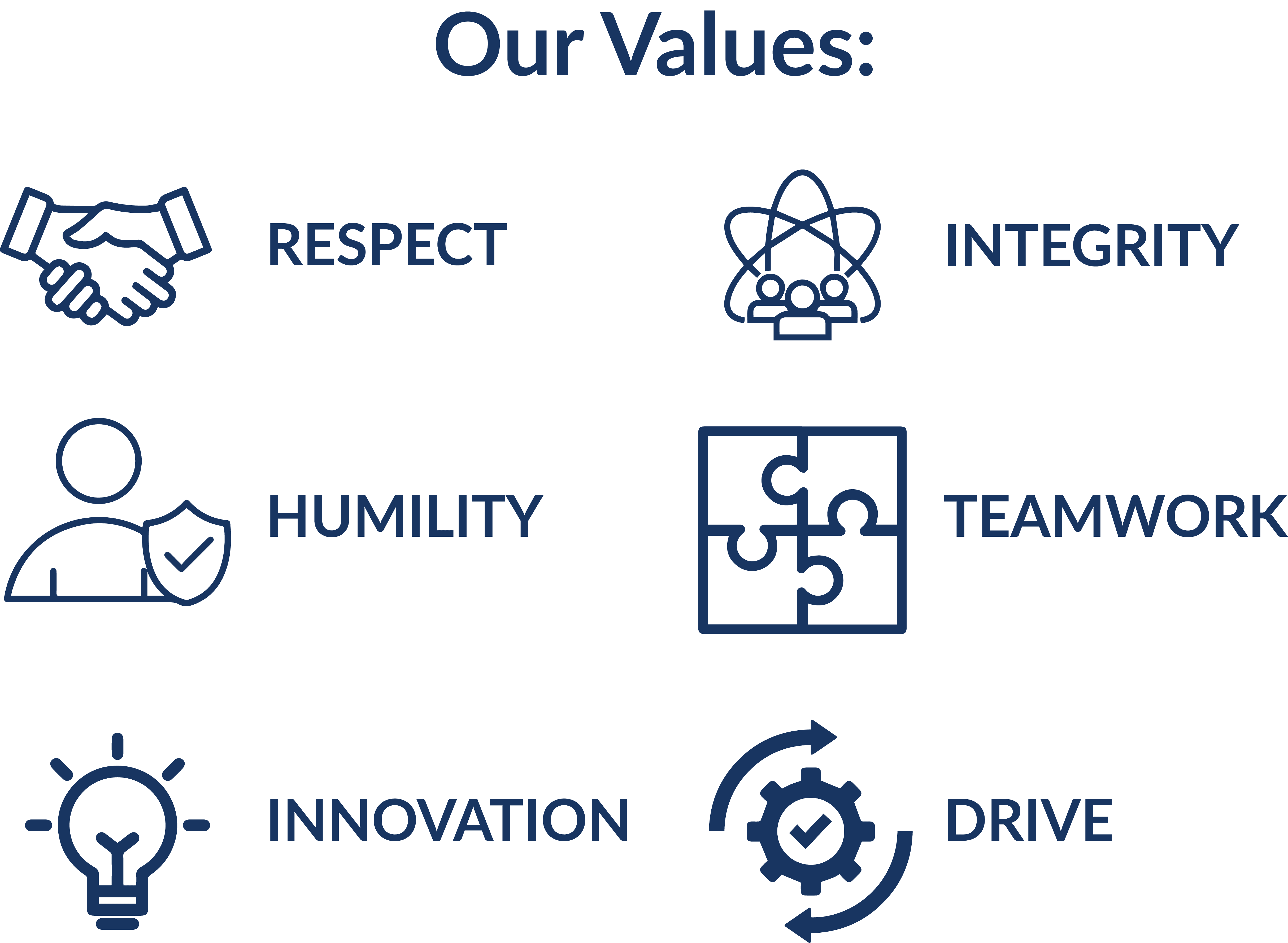 our values graphic